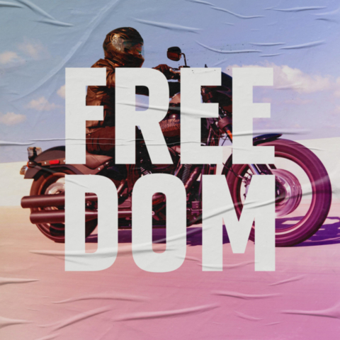 FREEDOM 06 scaled